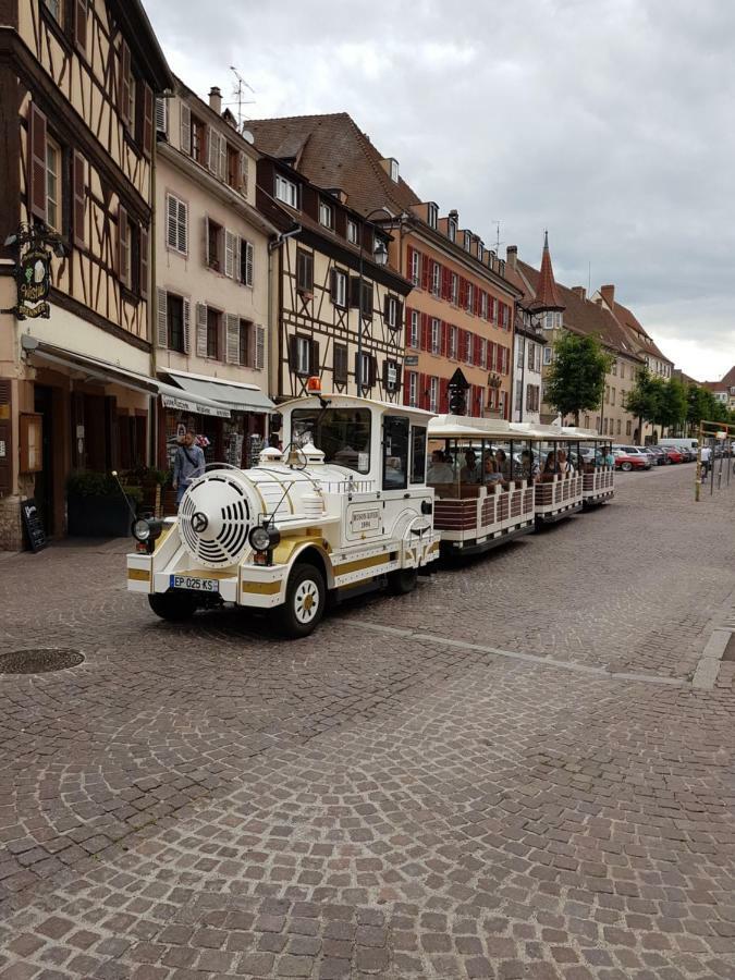 Les Colombages Apartment Colmar Exterior foto