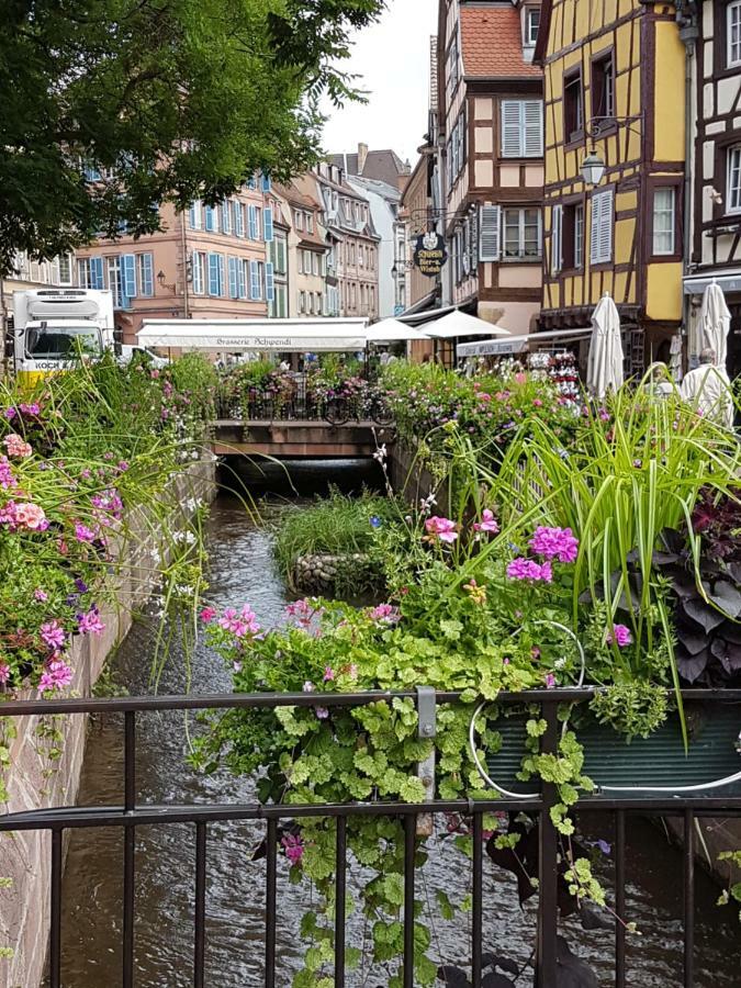 Les Colombages Apartment Colmar Exterior foto
